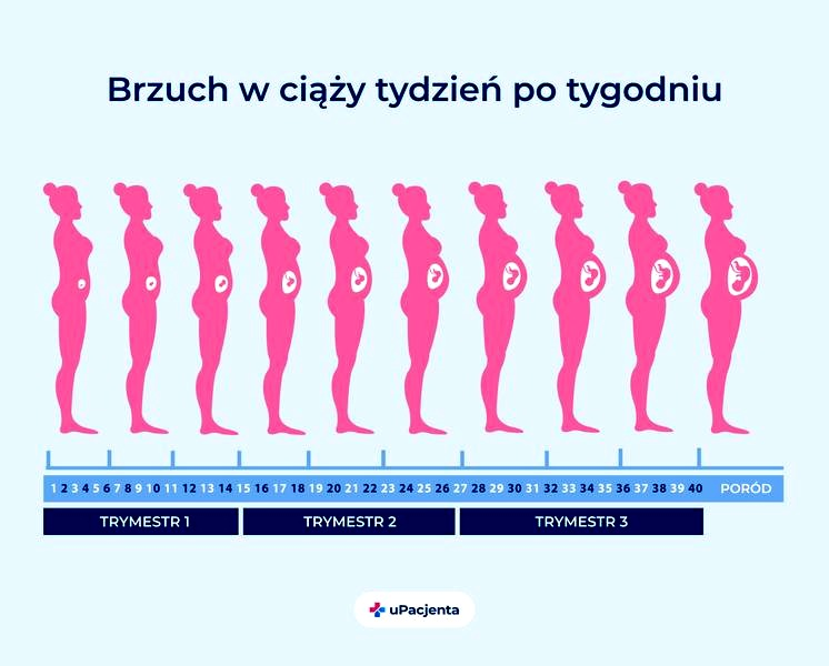 Brzuch w ciąży – jak zmienia się tydzień po tygodniu?