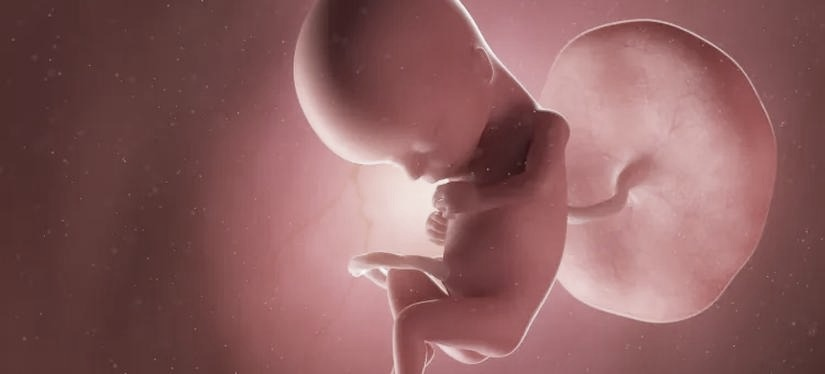 Jak wygląda dziecko w 15. tygodniu ciąży? Rozwój i wielkość płodu