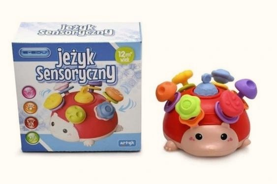Jeżyk sensoryczny – jak wybrać model wspierający rozwój dziecka?