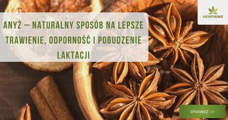 Pierniki a karmienie piersią: czy przyprawy wpływają na mleko