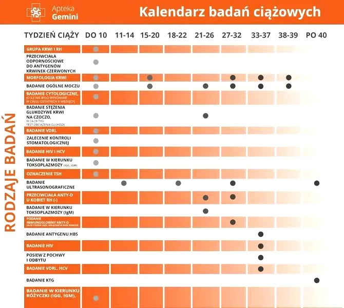 Wizyty u lekarza w ciąży – jak często i jakie badania wykonać?