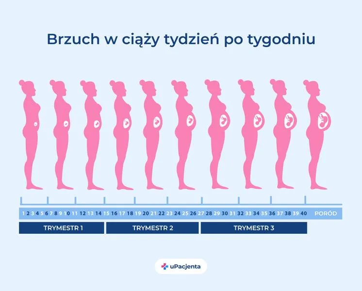 Brzuch w ciąży