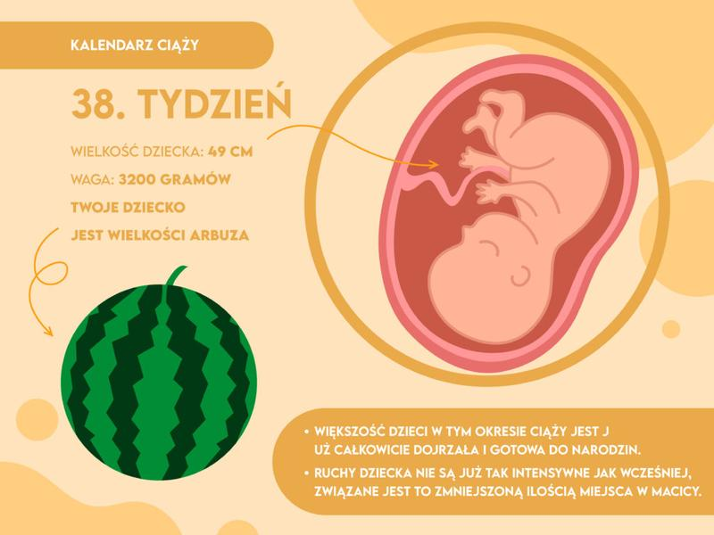 Obrót zewnętrzny płodu