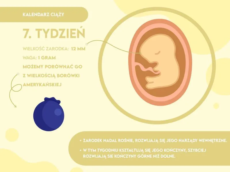 Początek życia