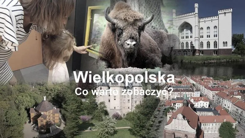 Rodzinne wycieczki w Wielkopolsce