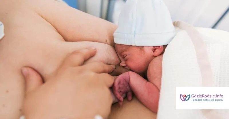 Spokój podczas karmienia na ulicy