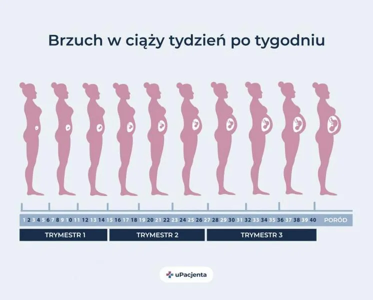 Trzeci miesiąc ciąży