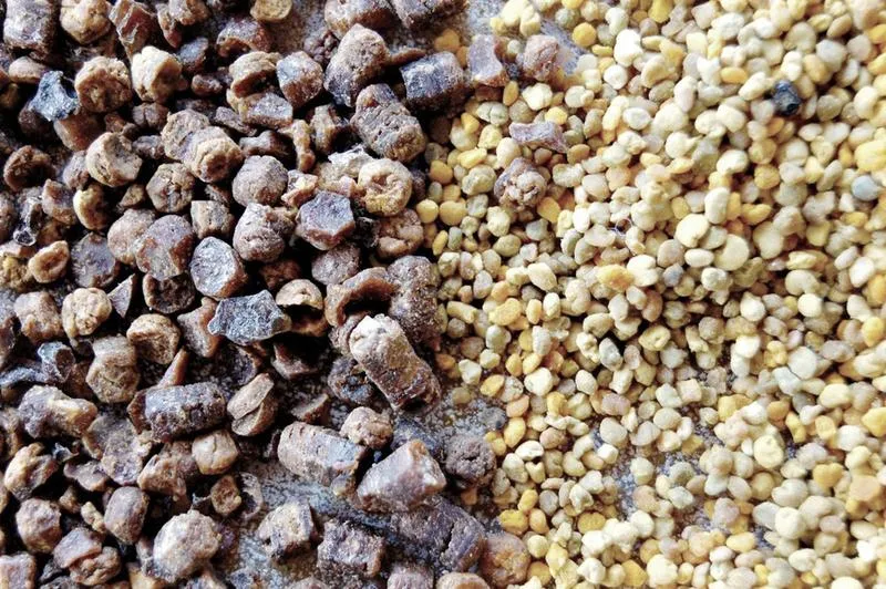 Zdrowa dieta malucha